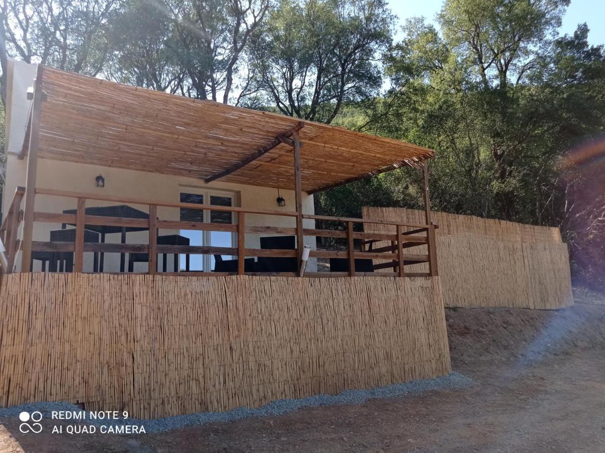 Maisonnette U Santu Ghjuvandria Ou A Santa Ghjulia Entre Mer Et Montagne Volpajola Zewnętrze zdjęcie